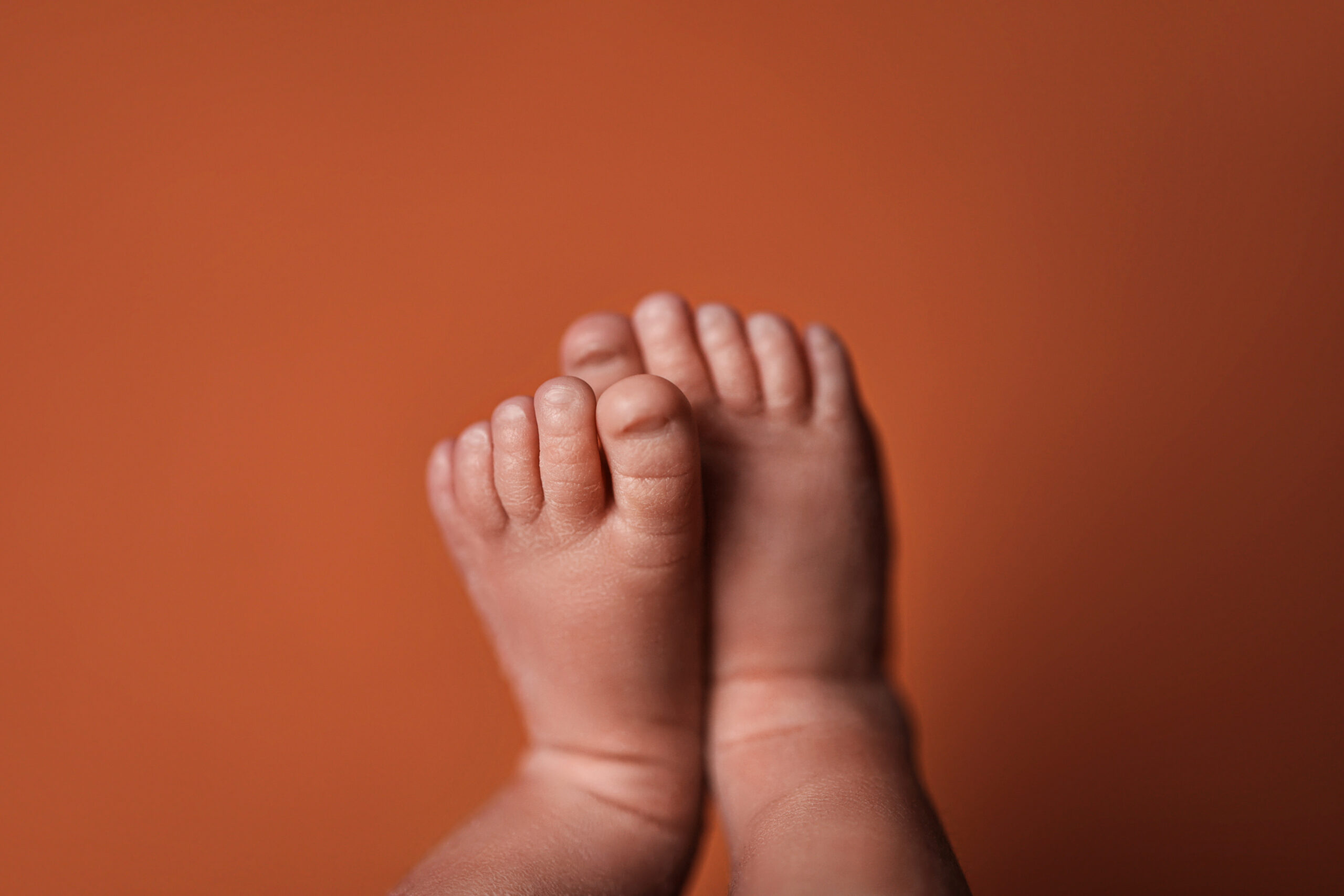 newborn baby feet close up photo toes newborn posing